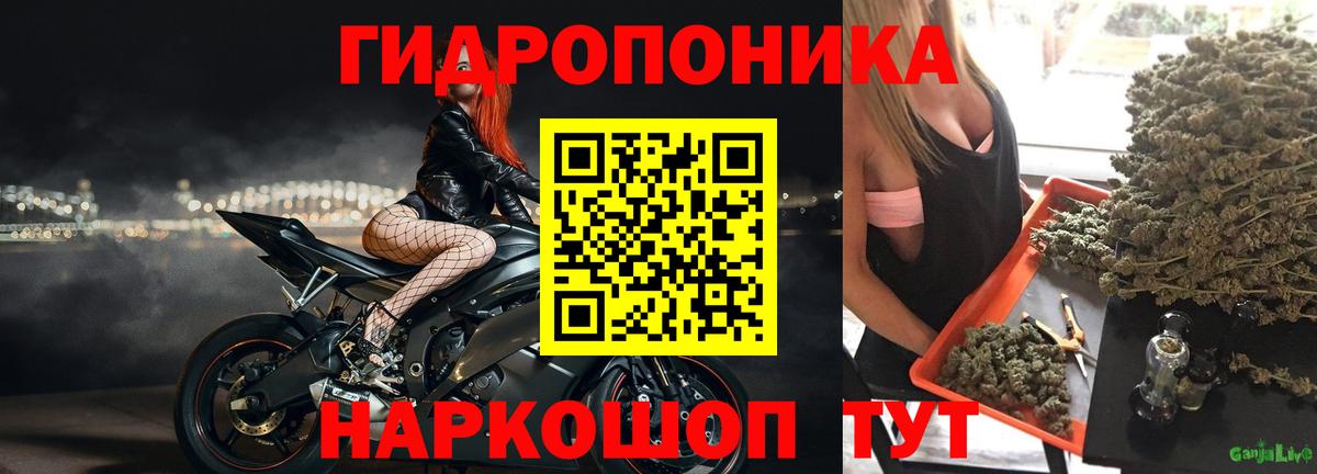 Чайковский  Канабис план  МАРИХУАНА ГИДРОПОН  Вход с VPN 